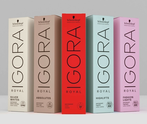 SCHWARZKOPF PROFESSIONAL IGORA ROYAL FOUNDATION SEMINAR | THEORY